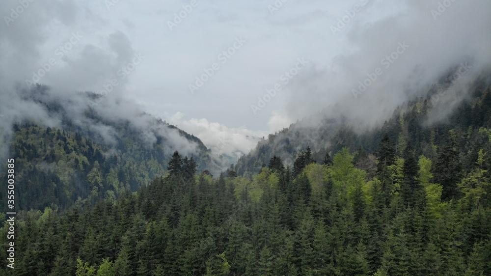 Carpathian mountains in the fog. Mountain peaks among beautiful clouds at summer. Carpathian mountai