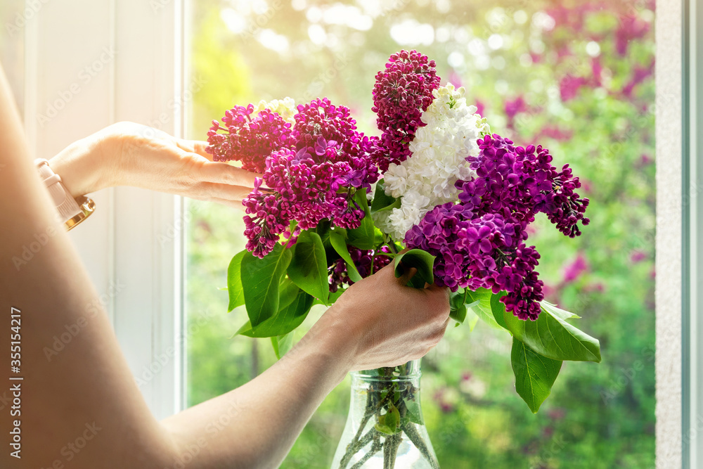 女人在家里窗台上的花瓶里摆放丁香花