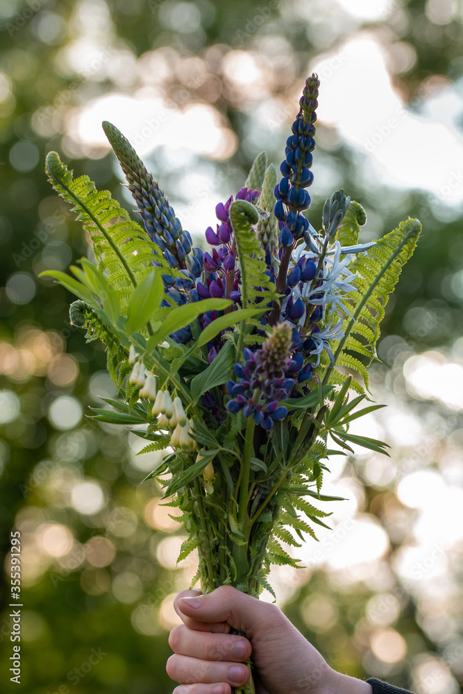 雄手拿着一束仲夏主题的花。蕨类植物、羽扇豆和其他草地花卉
1065897892,Limnos岛马赛克和水印印章的模版圈地图