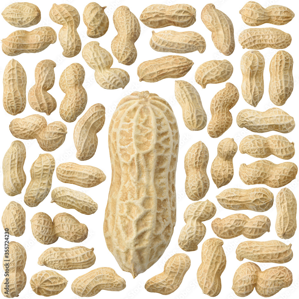 Isolated shelled peanuts. Collection of whole raw peanuts isolated on white background