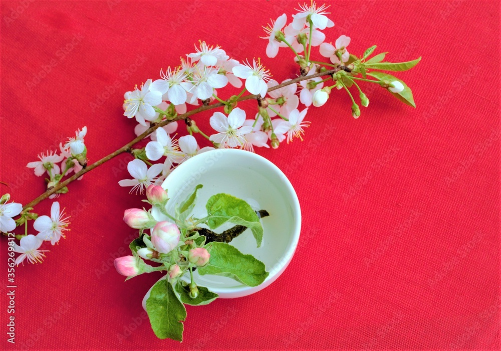 Composition on a background of bright red linen fabric. Flowering branch of cherry. Small flowers of