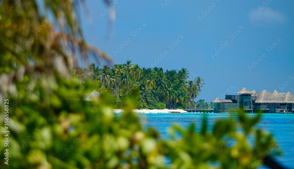 CLOSE UP: Blurry foliage obstructs the view of a overwater villa hotel resort.