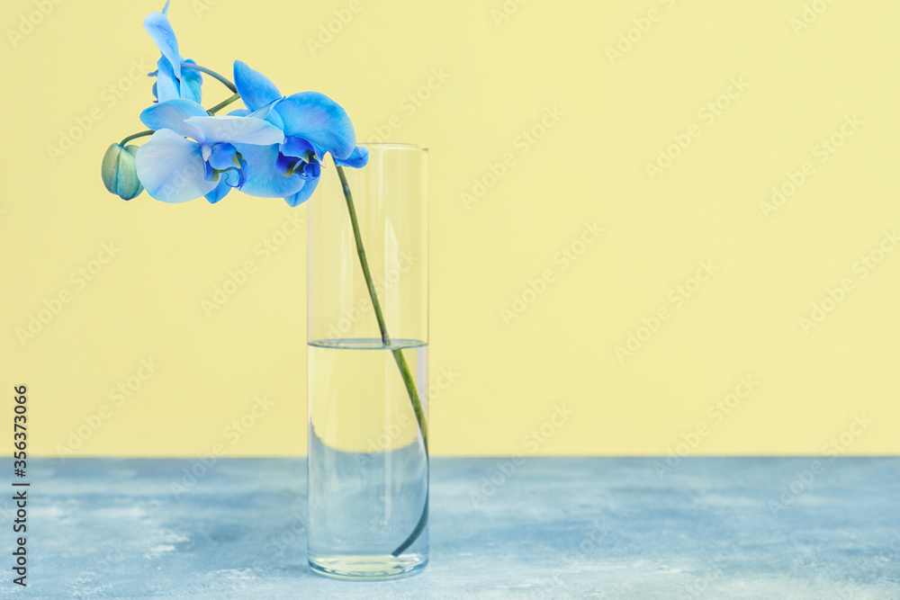 Beautiful orchid flowers in vase on table