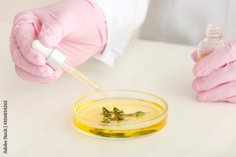 Beautician preparing natural cosmetic, closeup