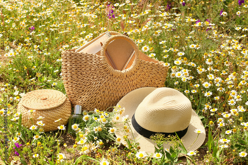 Many beautiful chamomiles, wicker bag, box and hat in field