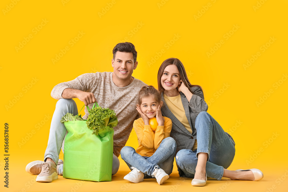 Family with food in bag on color background