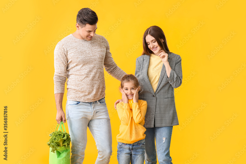 Family with food in bag on color background