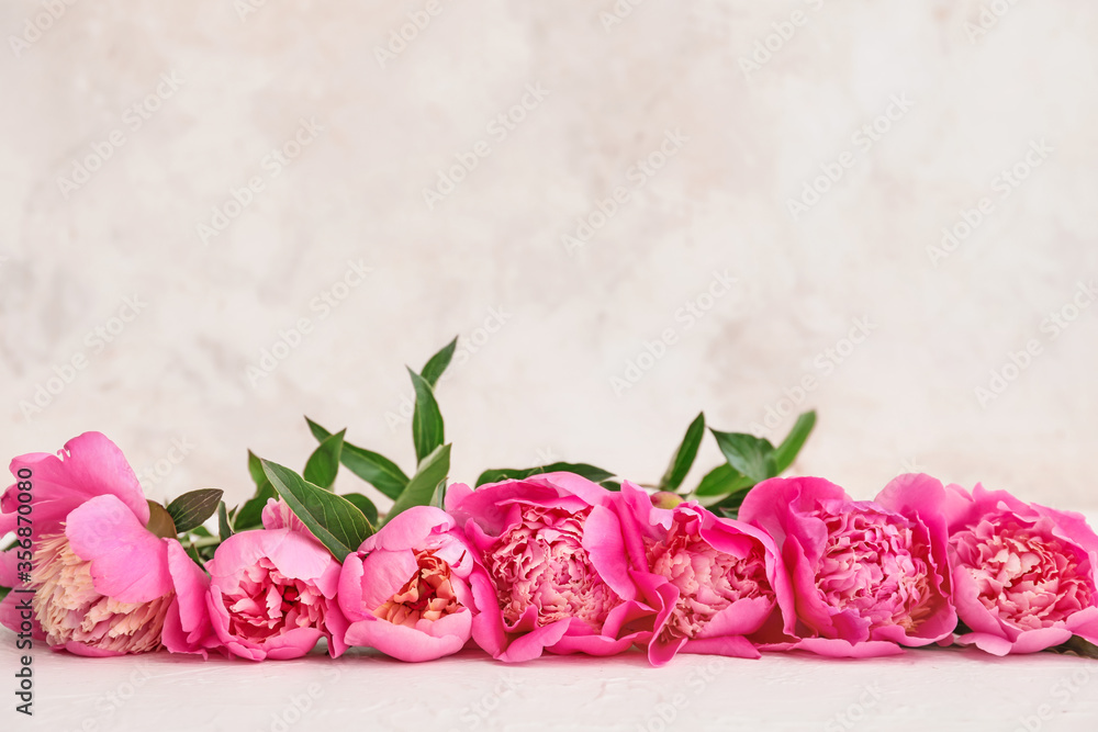 Beautiful peony flowers on light background