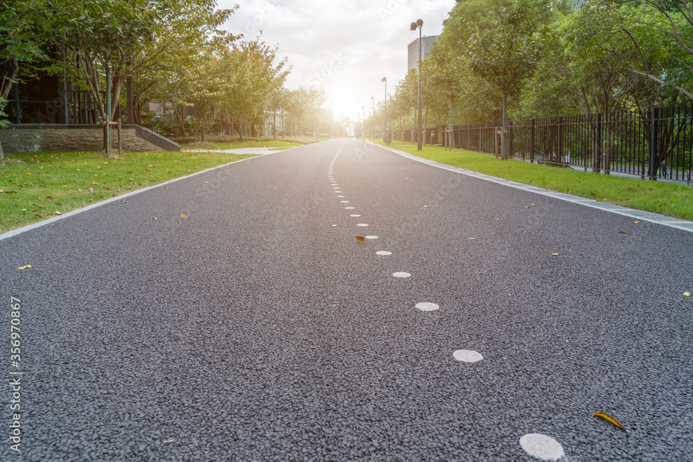 Asphalt road and park green forest landscape