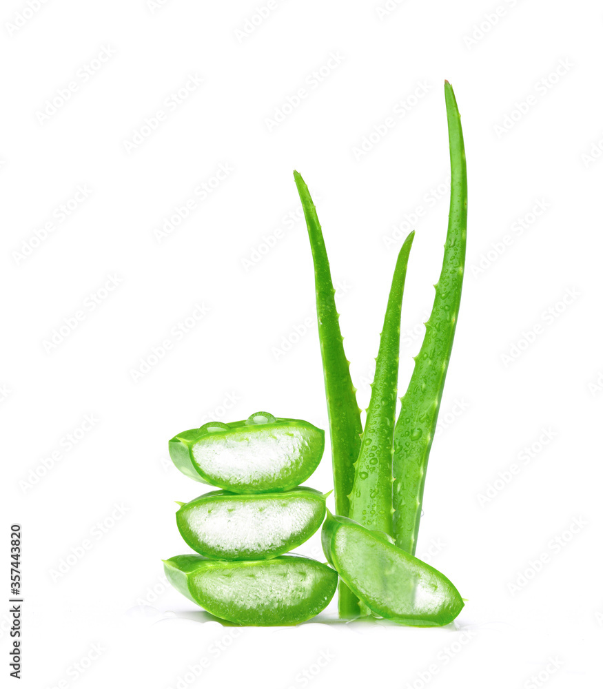 Fresh green Aloe vera leaves with sliced and water drops isolated on white background.