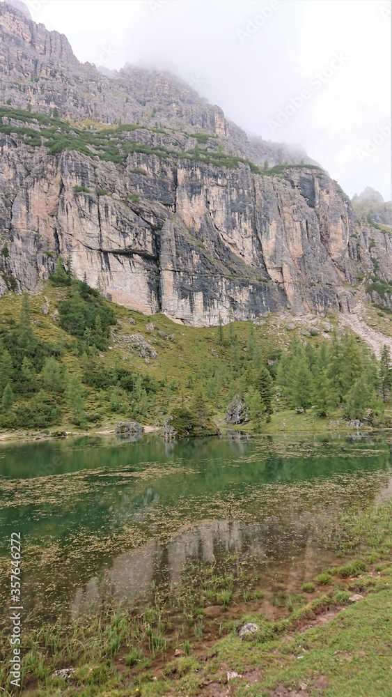 阿尔卑斯山夏季景观。山湖上长满了植物和树木，还有一堵灰色白云石墙。