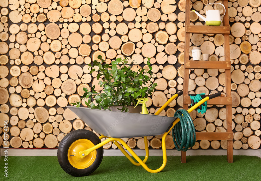 Set of gardening supplies near wooden wall