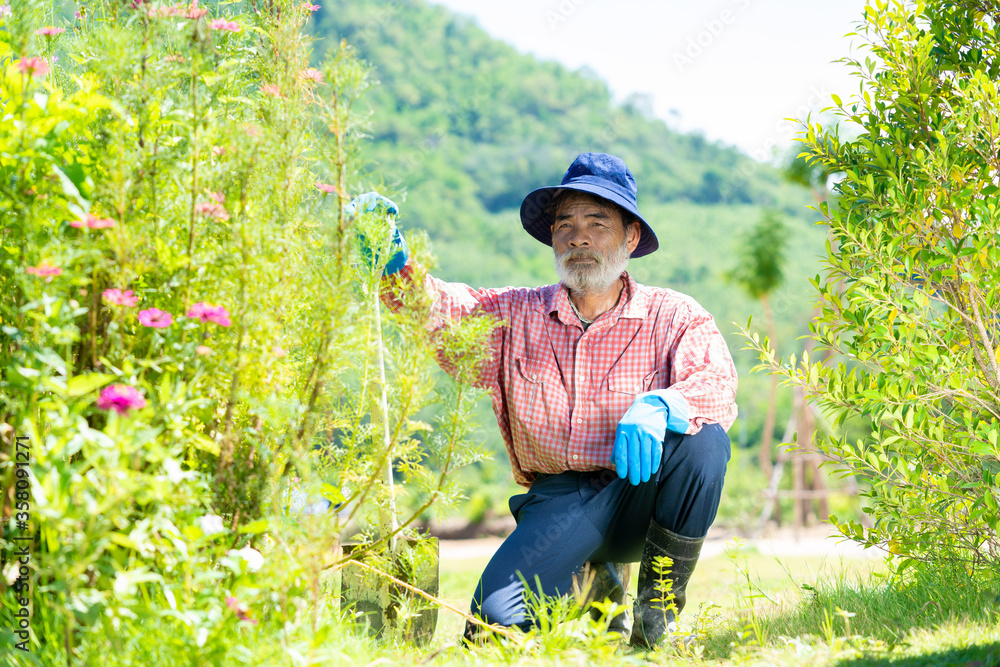 老人在园艺，老人拿着园艺工具在后院花园里工作。