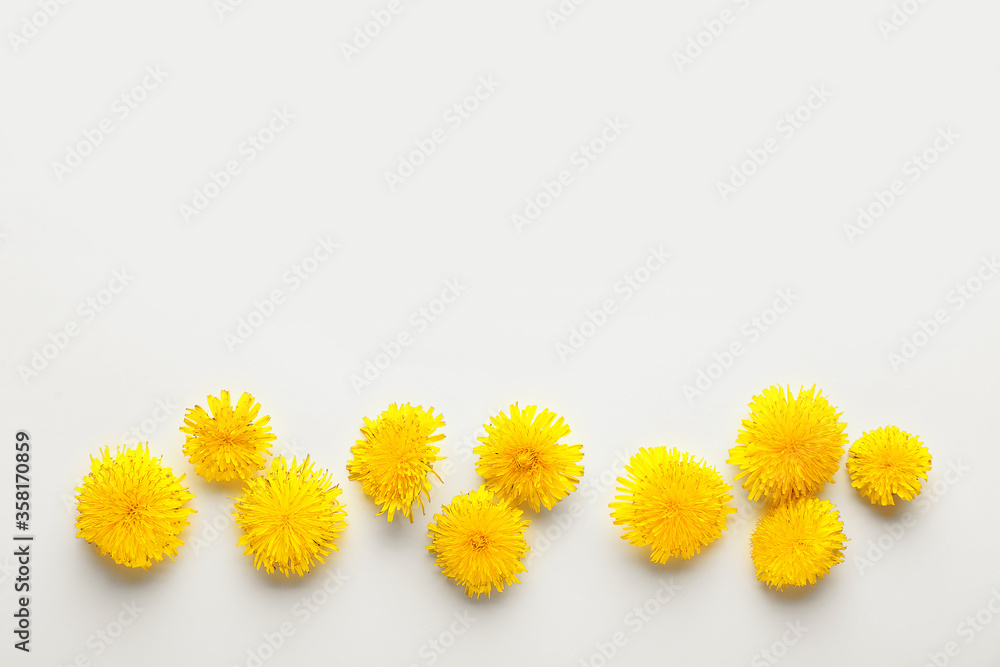 Beautiful dandelions on white background