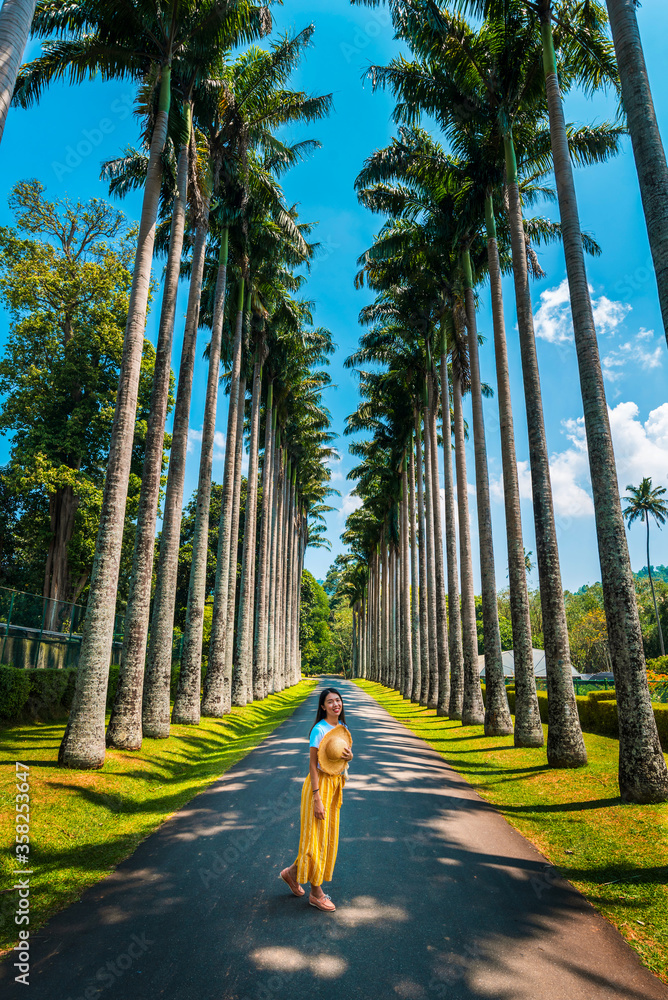 Woman exploring palm alley at Royal Botanical Gardens in Kandy Sri Lanka