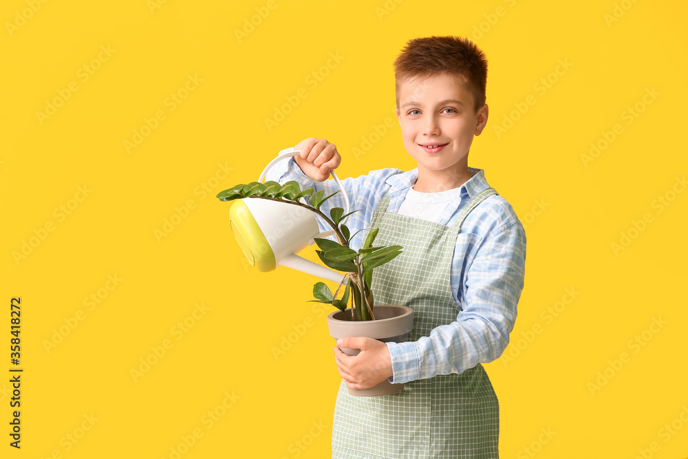 Cute little gardener on color background