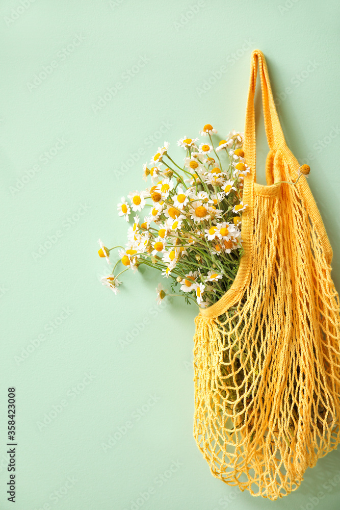 Beautiful chamomiles in bag hanging on color wall