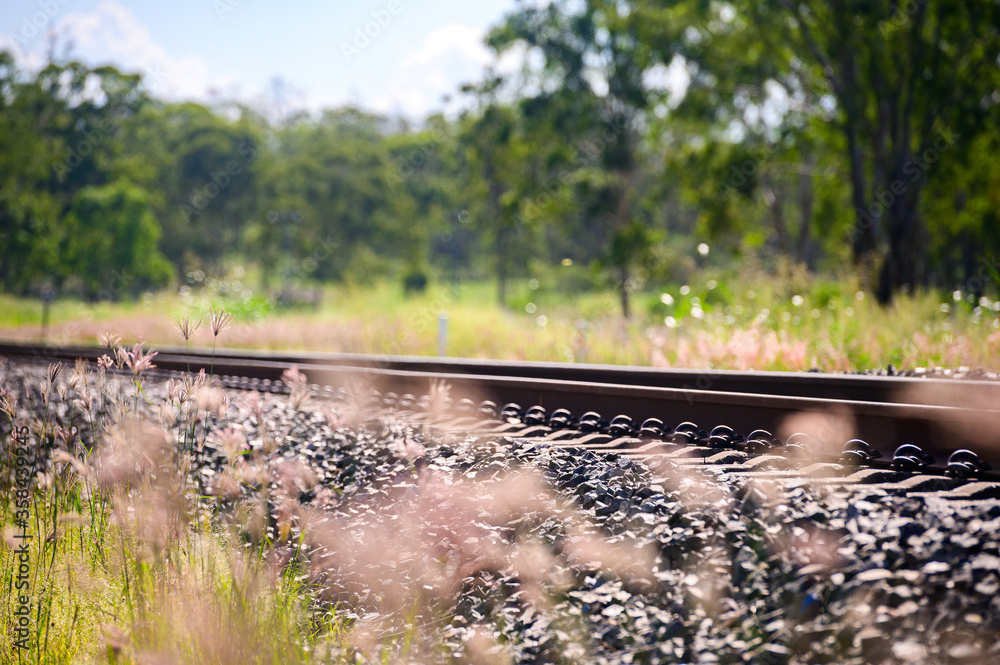 Rail tracks in Queensland countryside during summer, with tall flowers and grass in the foreground