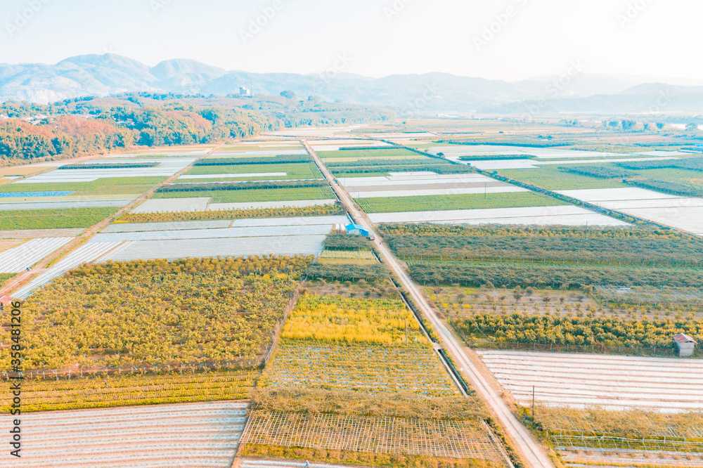 中国农田鸟瞰图