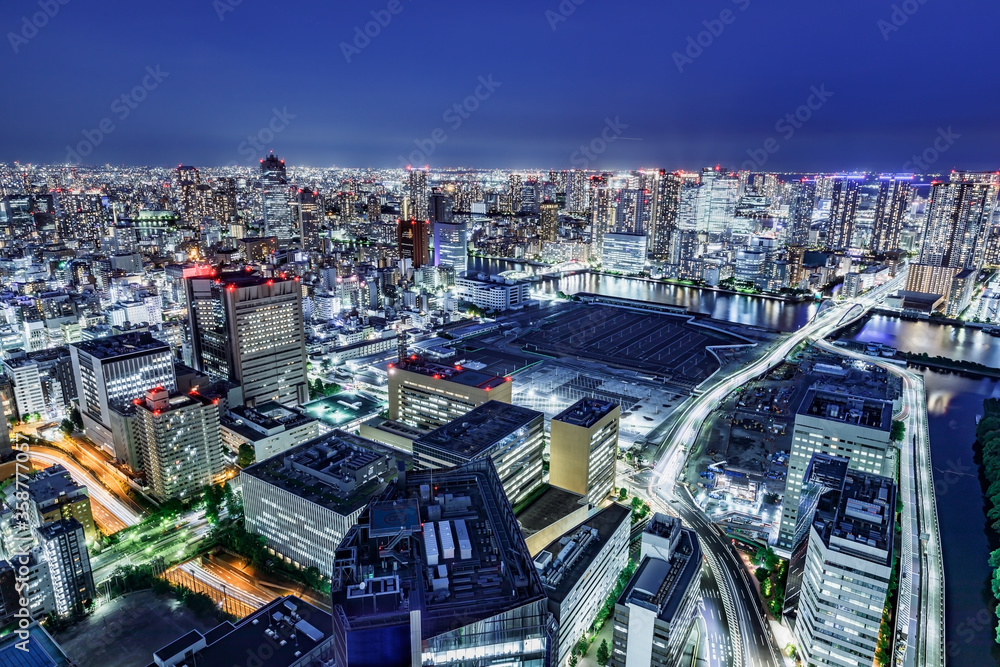 光が眩しい、東京の水辺に立ち並ぶ高層ビル群の夜景