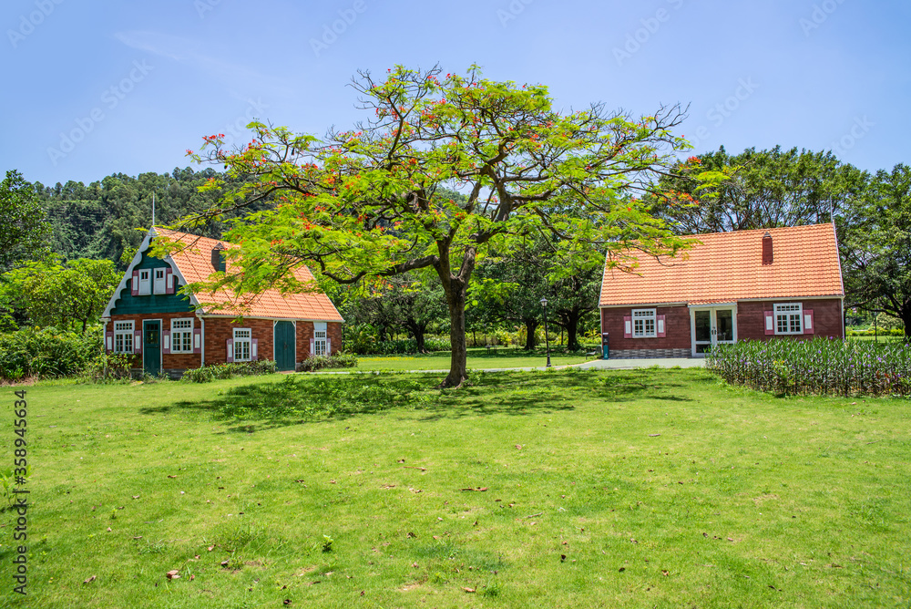 大草坪上的两间彩色小屋