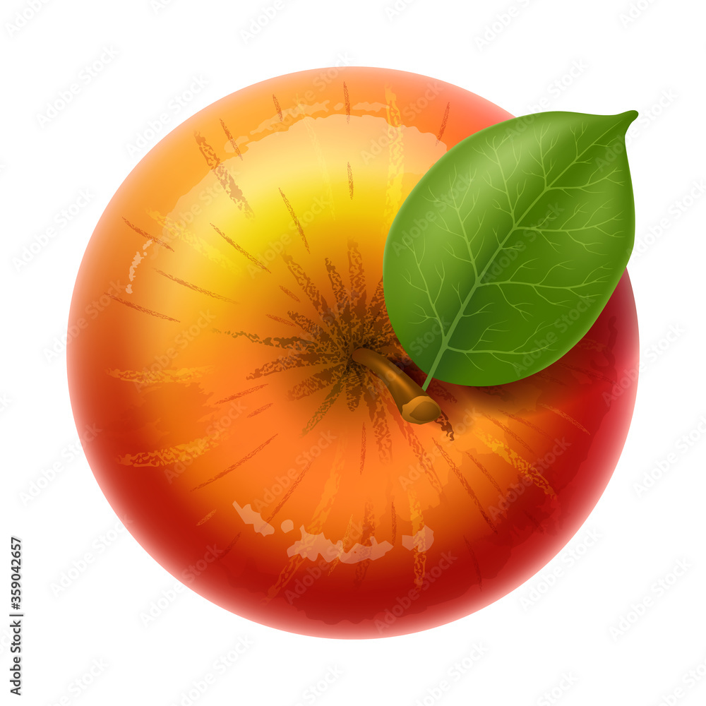 Red fresh ripe apple with green leaf. Delicious and juicy fruit. Top view. Isolated. Vector illustra