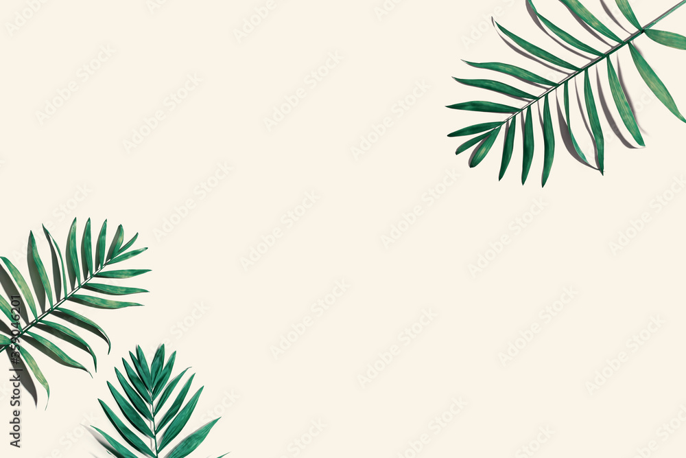 Tropical palm leaves from above - flat lay