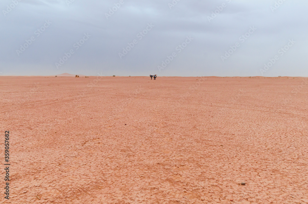 Camel caravan in the Sahara / Camel caravan and sand dunes in the Sahara, Morocco, Africa.