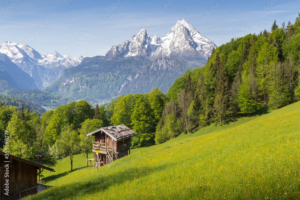 阿尔卑斯山的夏季山景，有盛开的草地和传统的山间小屋