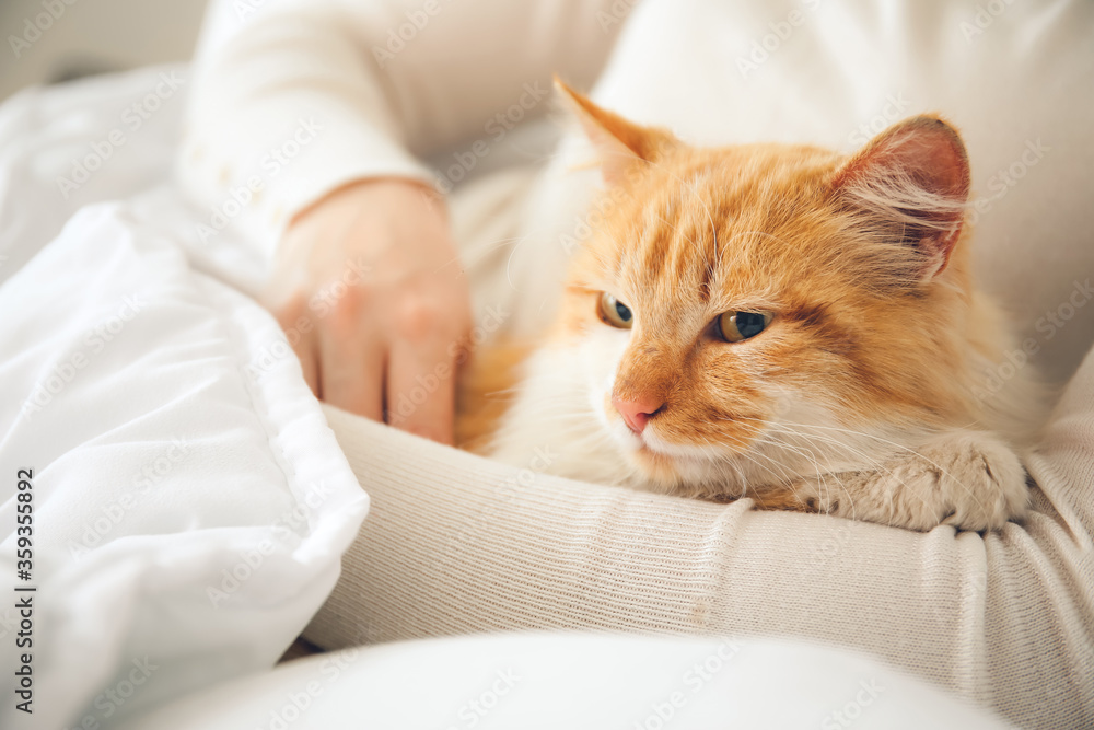 床上有可爱猫的女人