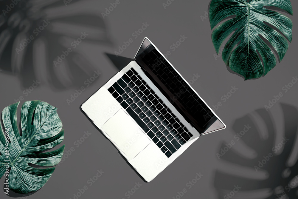 Laptop computer with tropical leaves from above