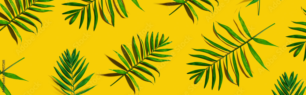 Tropical palm leaves from above - flat lay