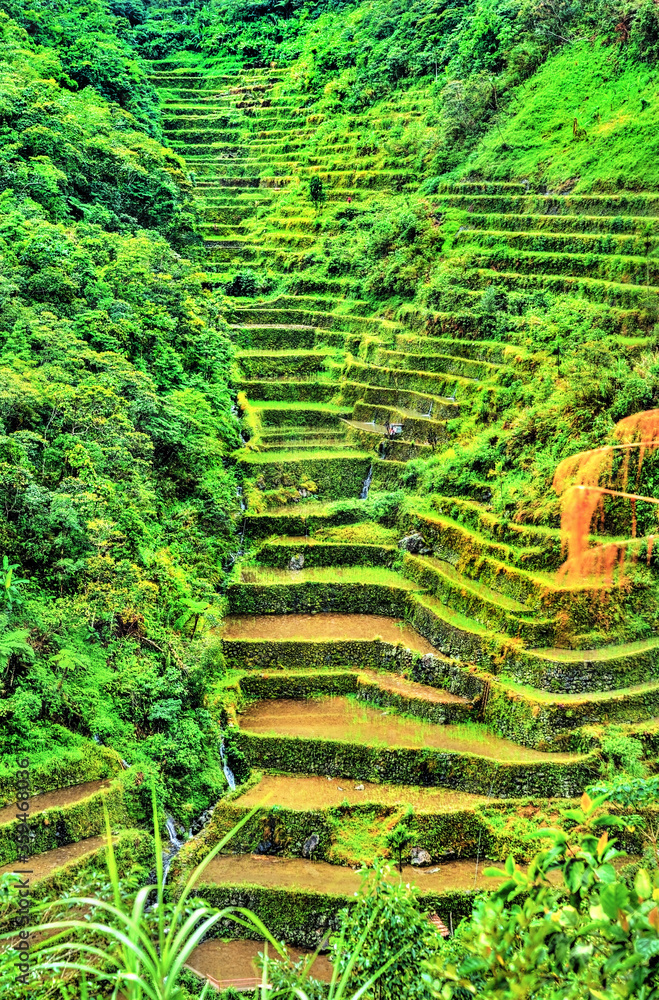 Batad Rice Terraces，联合国教科文组织菲律宾世界遗产