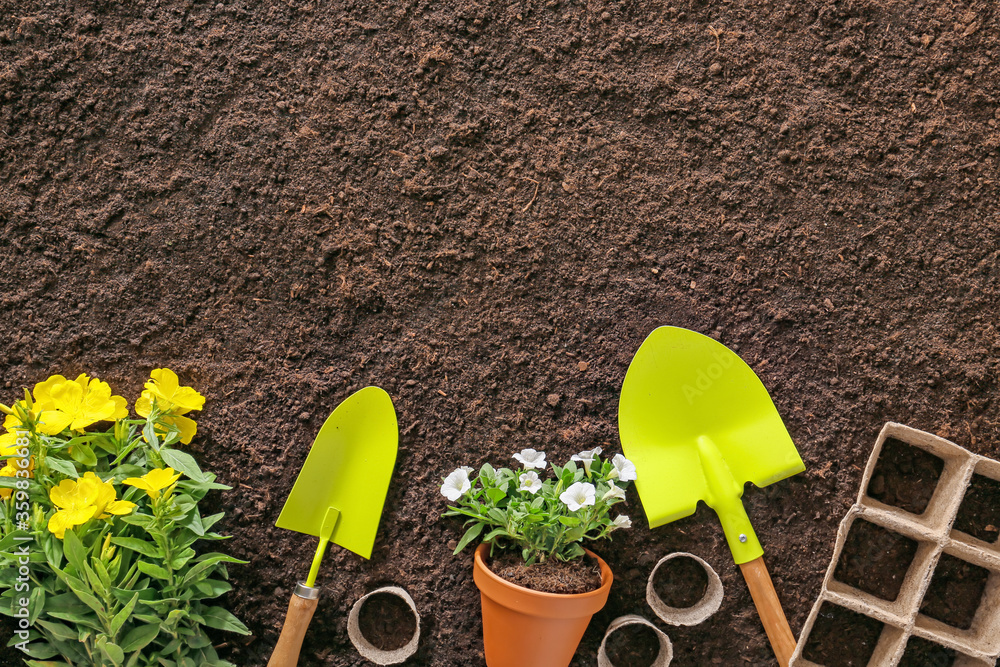 Supplies for gardening with plants on soil background