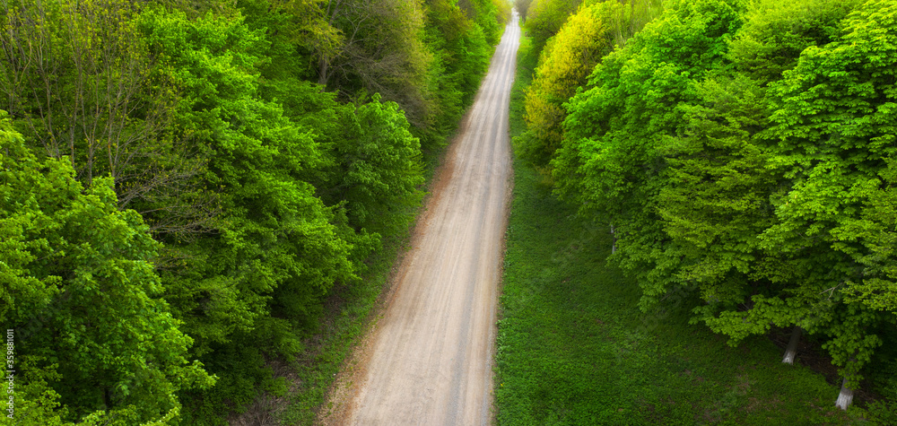 一条泥土森林道路的俯视图。