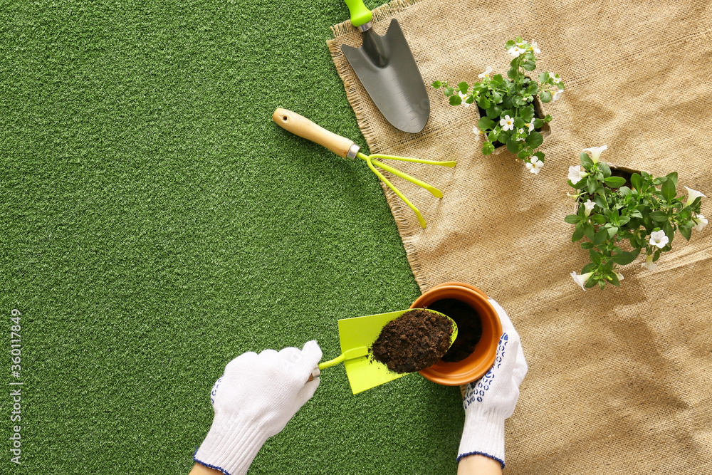 彩色背景上有植物、工具、花盆和土壤的园丁