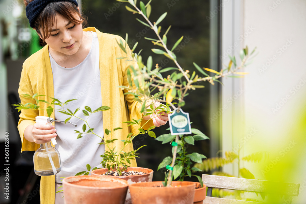 植木鉢の植物に水をあげる女性
