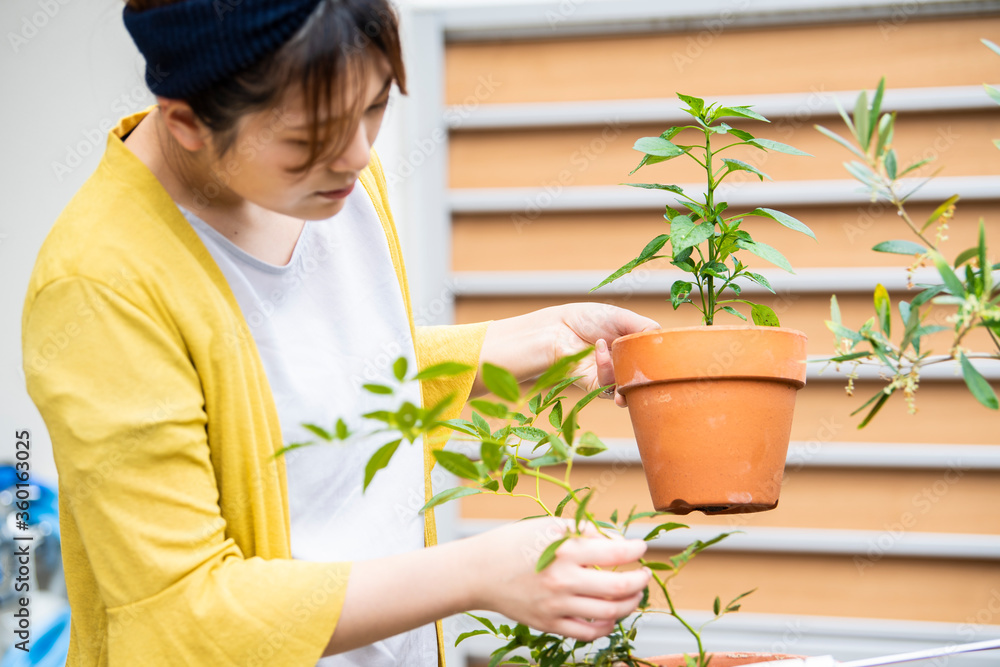 観葉植物の手入れをする女性