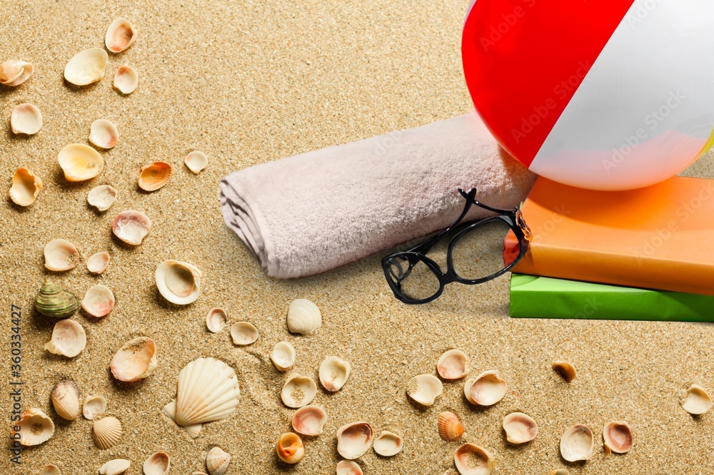 Sea shells in the sand on the beach with accessories