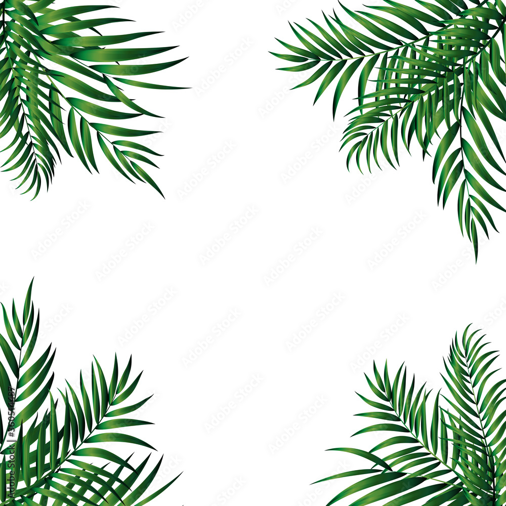 Tropical Natural green Palm Background. Vector Illustration