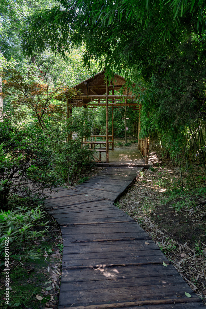 中国苏州园林中的古竹小屋和小路。