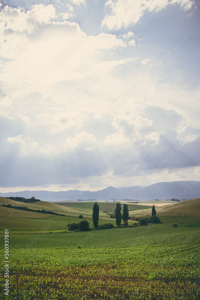 Turčianska kotlina, slovakia. Turčianske jaseno