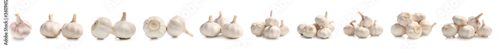 Many fresh garlic on white background