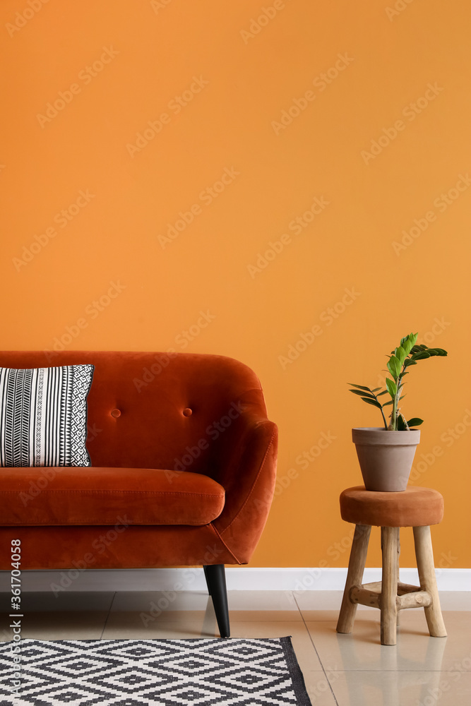 Stylish sofa with houseplant near color wall in room