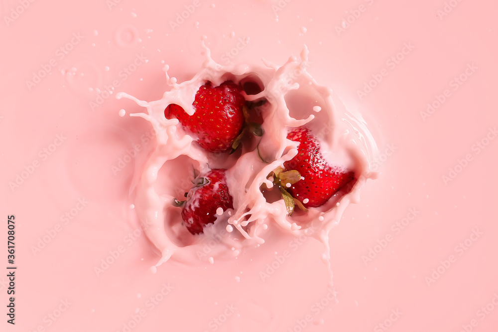 Falling of fresh strawberries into milk