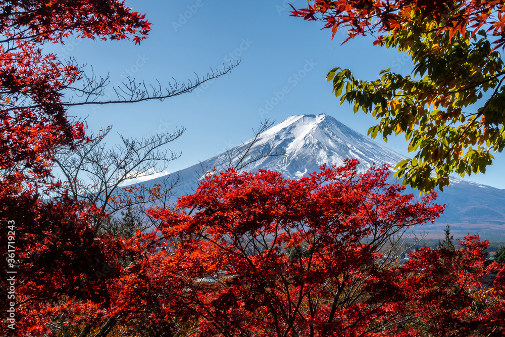 从日本的Chureito宝塔，透过红色的秋叶，可以清楚地看到富士山，水晶般的蓝天。