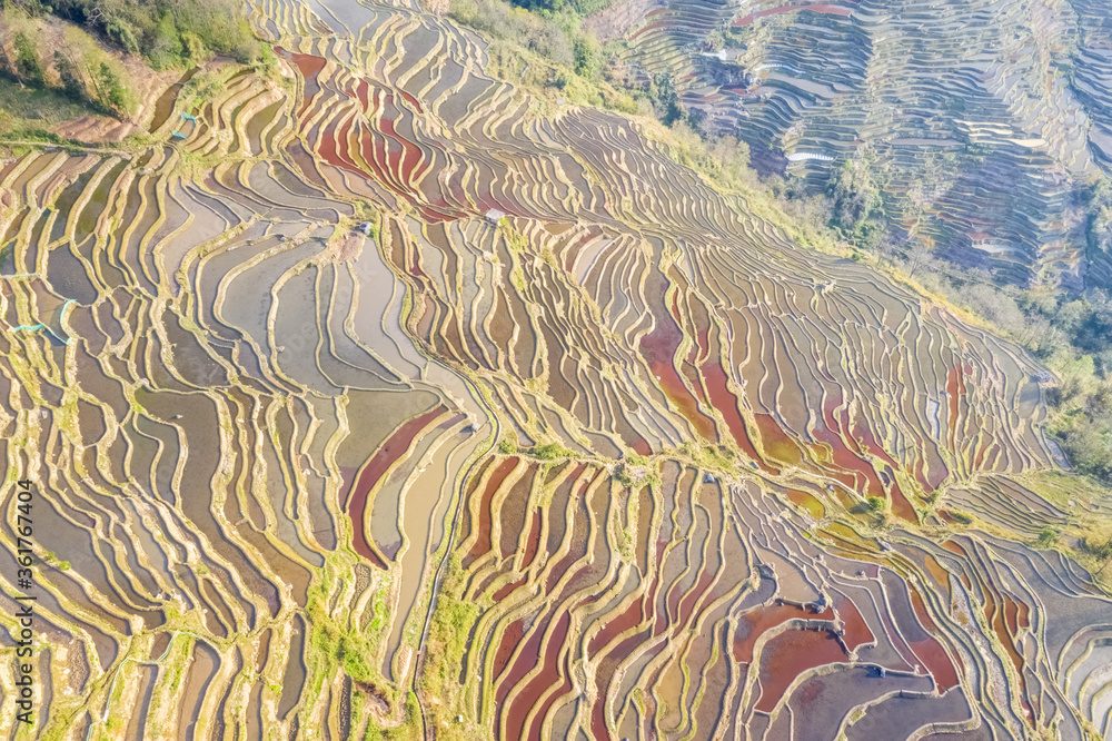 .梯田背景