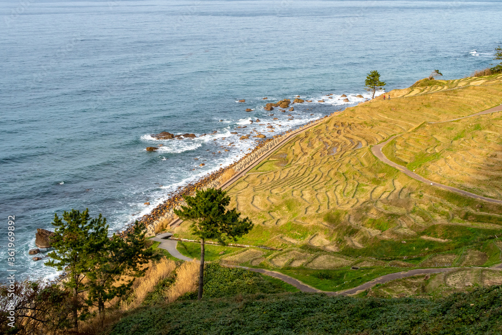 日本野户半岛的Shiroyone Senmaida Rice Terraces，带海景和照明