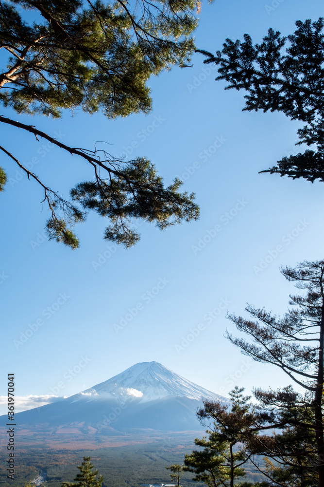 秋天的川口索道小径上，下午晚些时候富士山的肖像图，在fr中