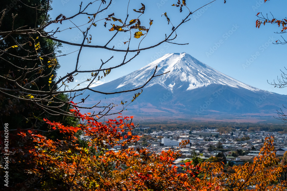 从日本川口县的Chureito宝塔透过红叶欣赏富士山的风景